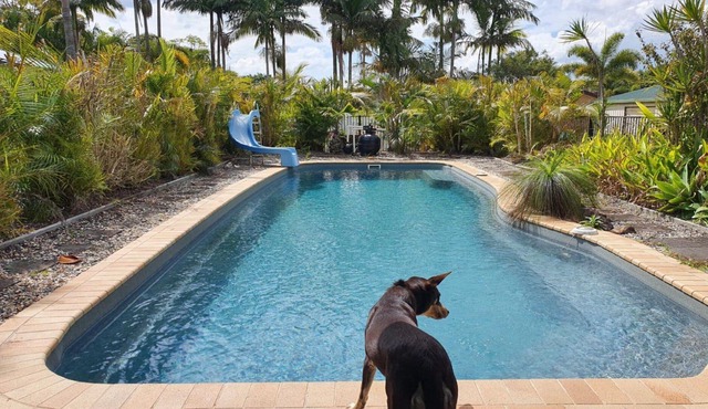 Peace and Tranquility by the pool