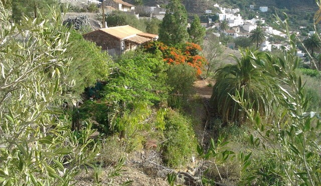 Peace and tranquility on the Mountain with sea views
