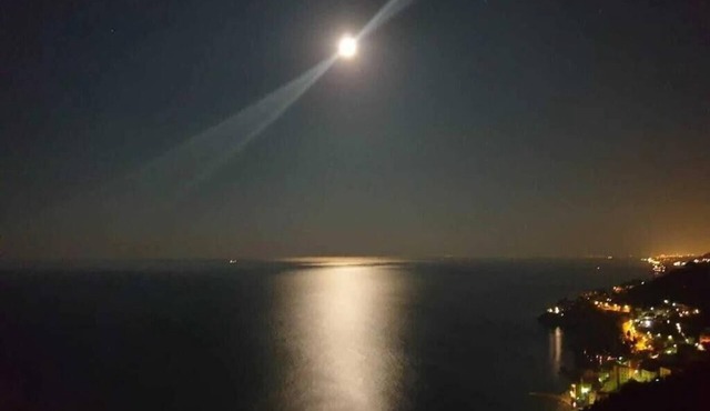 Peace between the olive trees and the sea