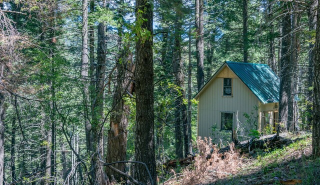 "Peace & Quiet", Nature's Retreat, 50 yds from Trailhead, Wildlife Galore