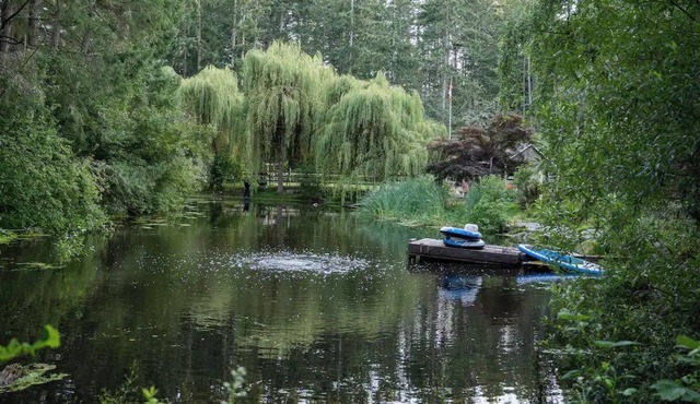 Peaceful 1 BR Hideaway on 1 Acre w/Pond, Near Ferry, Airport & Nature