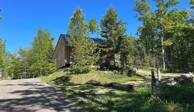 Peaceful and cozy cabin in the woods just a short drive to adventure