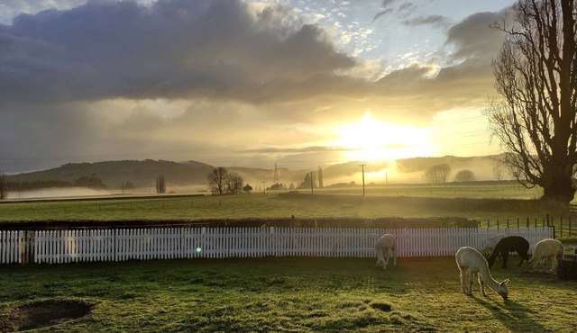 Peaceful Cottage with Idyllic Sunset Views in Cambridge, Waikato