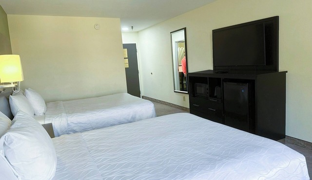 Peaceful Double Queen Room | 4 Rooms | Rome Stay Close to Shopping
