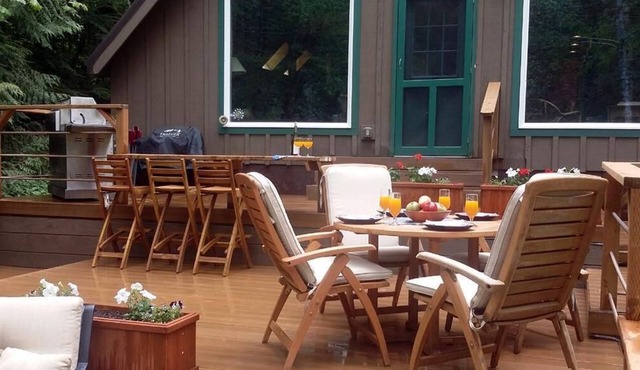 -Peaceful Eclectic Cabin, WiFi, Hot tub,pets welcome