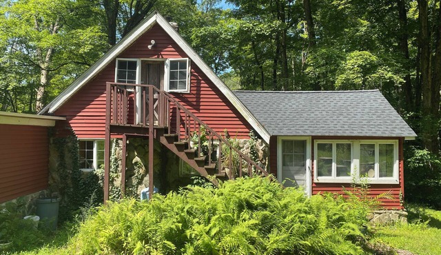 Peaceful Forest Cabin