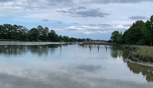 Peaceful on the Creek in the Northern Neck