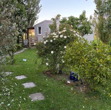 Peaceful private and semi rural
