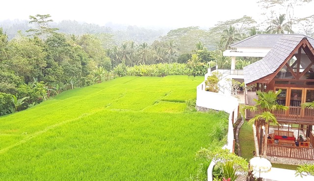 Peaceful Private Pool Villa - 9 BR with Amazing Green Rice Field View