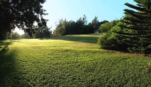 Peaceful & Private Studio - 12 Acre Hobby Organic Fruit Farm - Beach 10 minutes