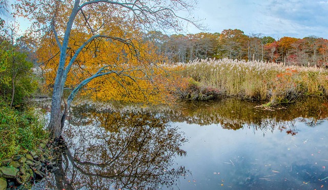Peaceful Relaxation in a Quiet Neighborhood in the Heart of Long Island