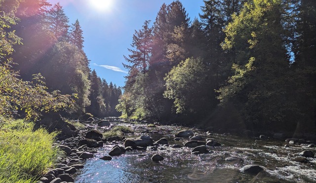 Peaceful Riverfront Escape for Relaxation or Remote Work