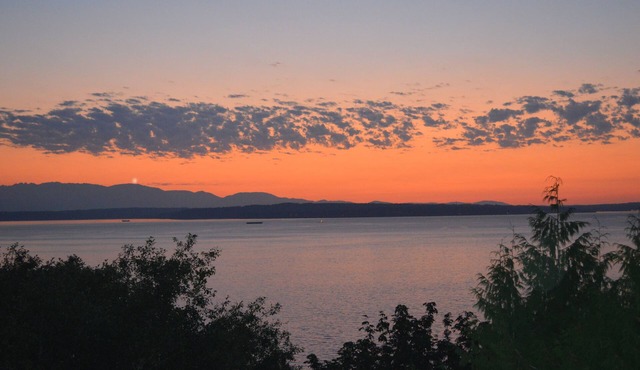 Peaceful Seattle Luxury Estate Romantic Seaview Guesthouse