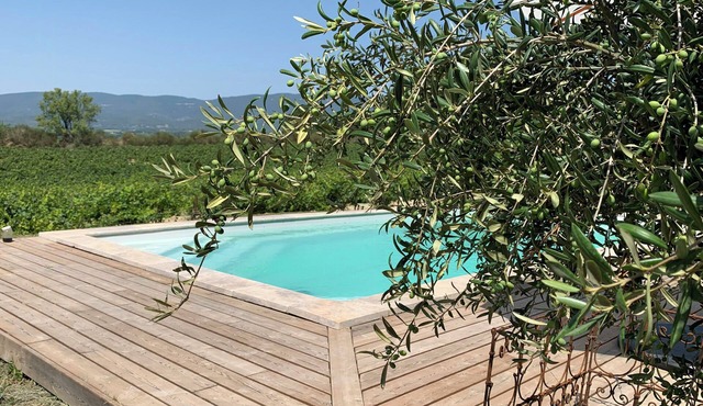 Peaceful studio with private pool in Luberon