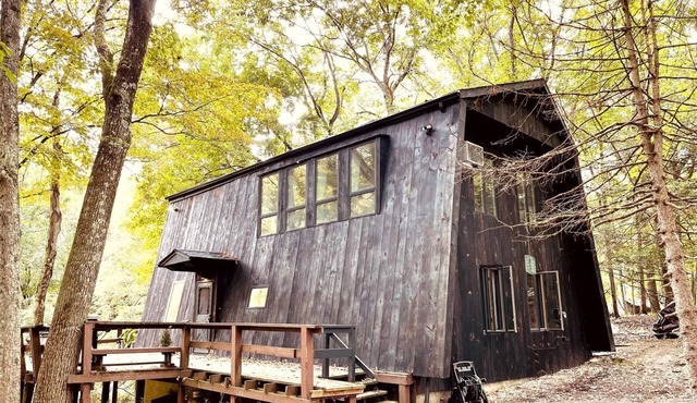 Peaceful Tree House Nestled Away in Hudson Valley, New York