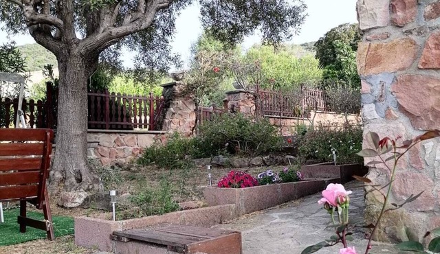 Peacefulhome: Immergersi Nella Natura a Pochi Chilometri dal Centro