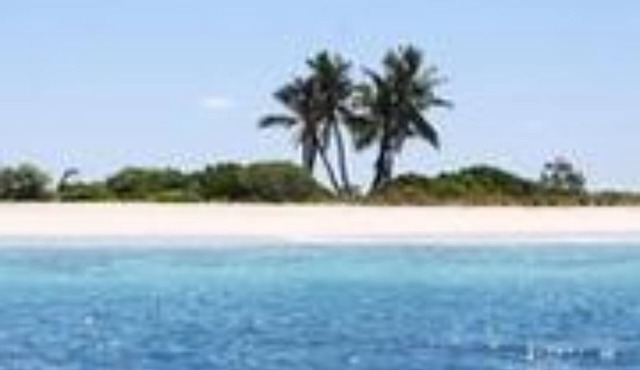 Pearl Beach View
