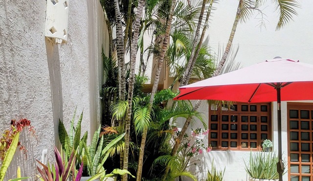Pecari Bed and Breakfast
