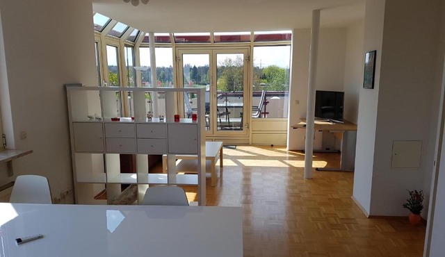 Pegasus Penthouse
