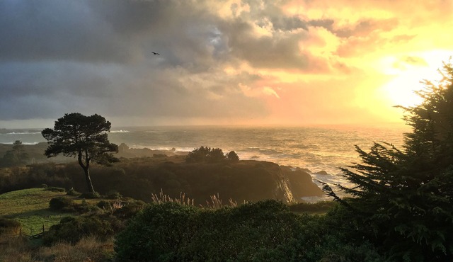 Pelican Point, Dramatic Ocean & Coast Views, Spa, Next to Town