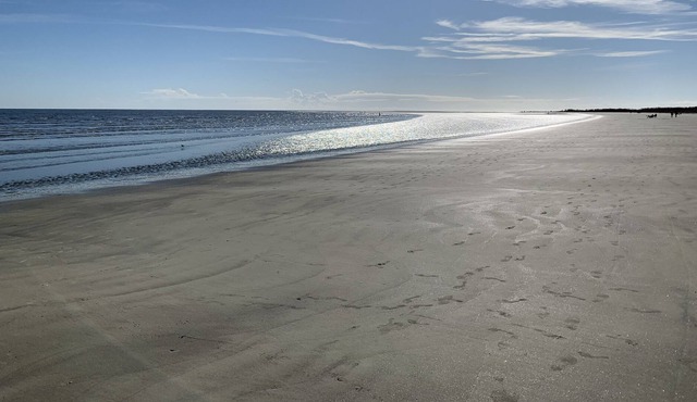 Pelican Watch: 2 Bedroom Condo overlooking Hunting Island State Park and Ocean
