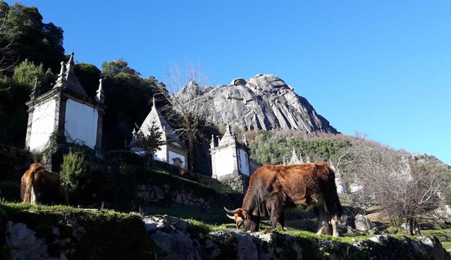 Penedino Mountain Cottage