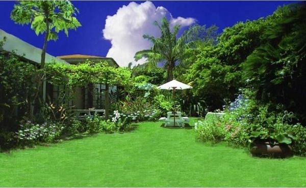 Pension Iriomote