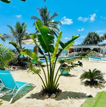 Pension Irivai appartement "Uparu" 1 chambre bord de mer