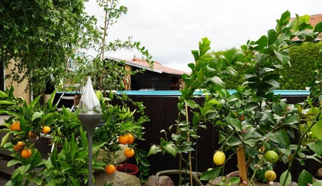 Pension Limone Ferienwohnung 2