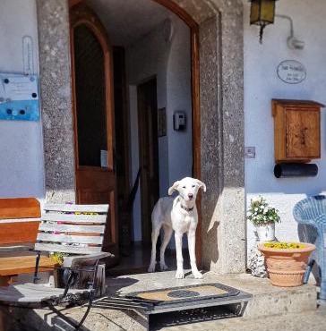 Pension Maria