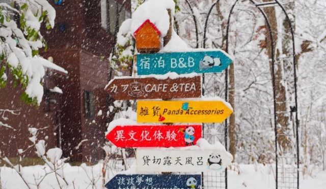 Pension Snowfall Meteor