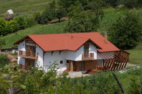 Pensiunea Casa din Vii