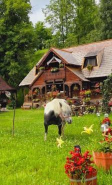 Pensiunea Rustic Oncesti