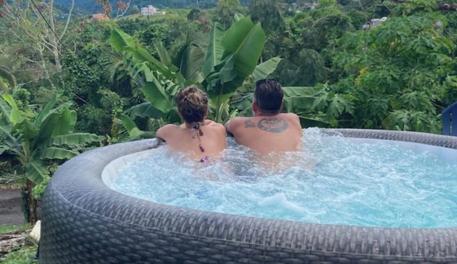 Penthouse 3 bdrm Tropical Retreat Spectacular Rainforest & Ocean Views Jacuzzi!