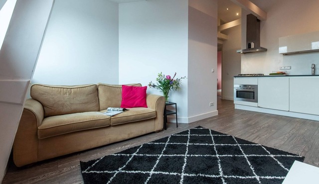 Penthouse spacious apartment with canal view