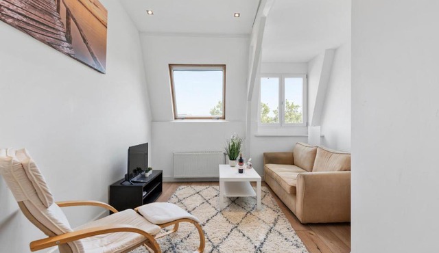 Penthouse spacious apartment with canal view