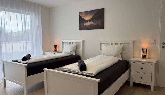 Penthouse Swiss Escape | Rooftop Terrace + Parking + Hi-Speed WiFi