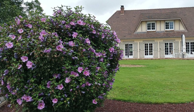 PEONY ROOM