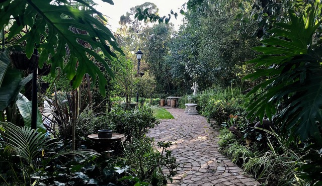 Pepper Tree BnB
