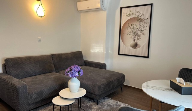 Perfect 1-bedroom apartment with AC in charming Irinovac