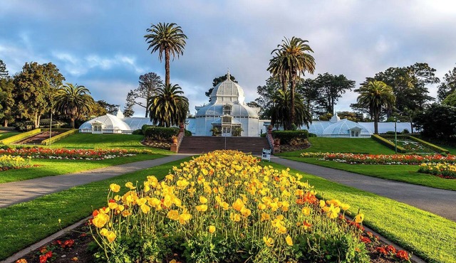 Perfect for Groups! 4 Pet-friendly Units Close to Cable Car Museum!