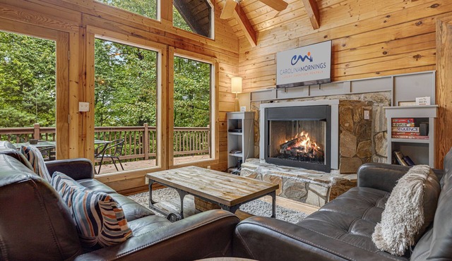 Pet-Friendly A-Frame w/Hot Tub, Fenced Yard + Biltmore Pass – Near Asheville