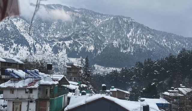 pet friendly and everything nearby in the heart of old manali
