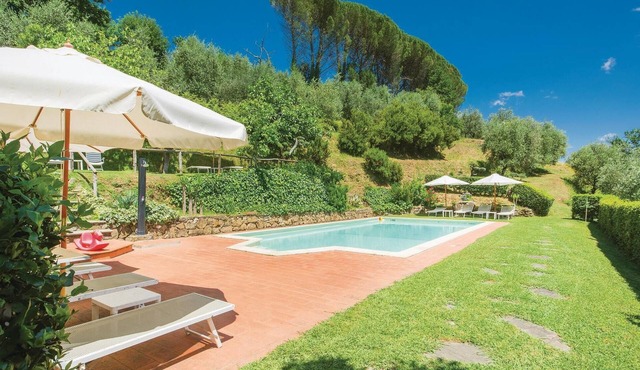 Pet friendly apartment in Sarripoli PT