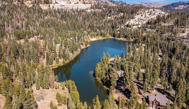 Pet friendly condo Bear Valley TAM#5 by Bear Valley Vacation Rentals
