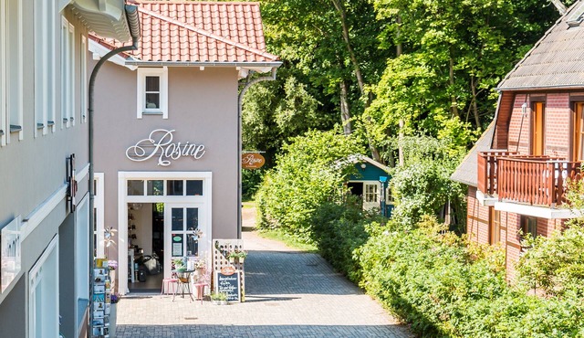 Pet-friendly near the beach