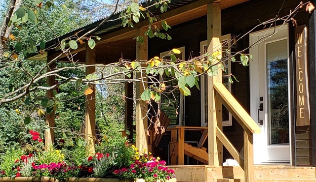 Pet Friendly - Gryffin RidgeThe Magic Forest