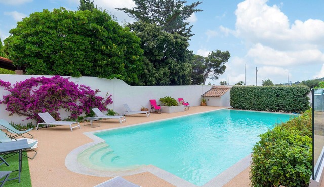 Pet friendly home in Saint-Maxime
