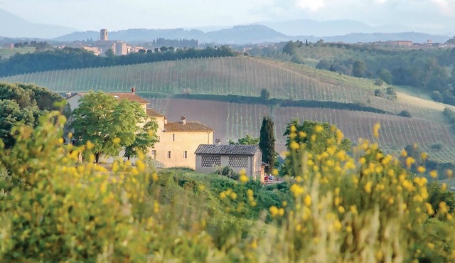 Pet friendly home in Poggibonsi SI