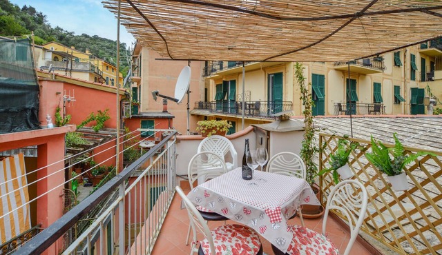 Pet friendly apartment